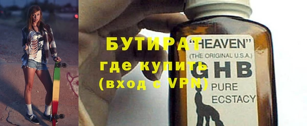 дмт Бородино