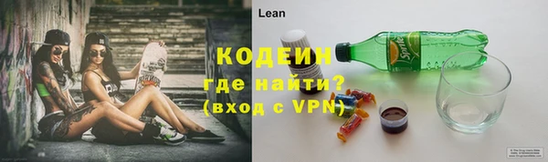 дмт Бородино