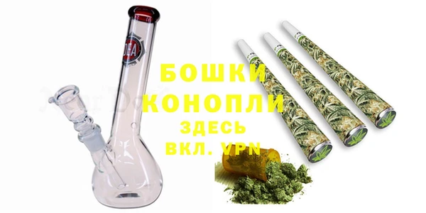 дмт Бородино