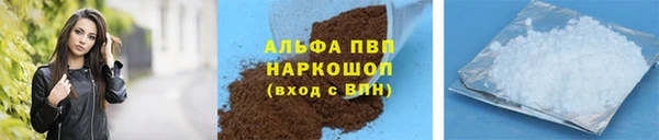 дмт Бородино