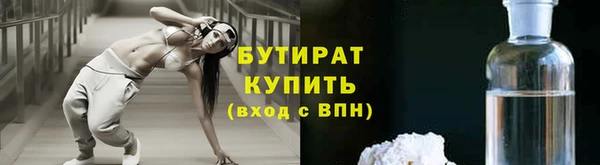 дмт Бородино