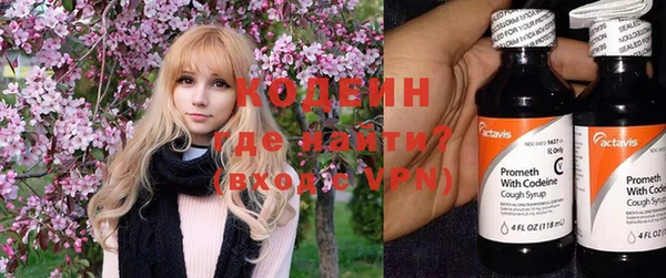 дмт Бородино