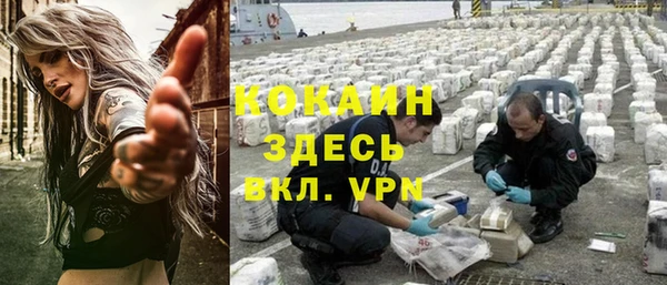 дмт Бородино