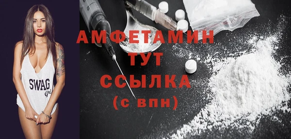 дмт Бородино