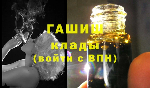 дмт Бородино