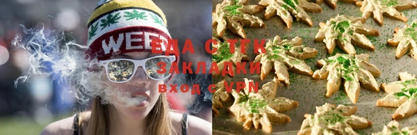 дмт Бородино