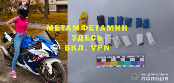прущие грибы Богданович