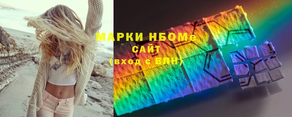 дмт Бородино