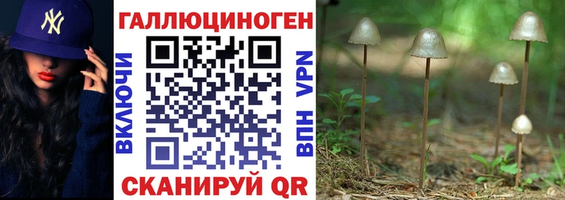 Галлюциногенные грибы Psilocybine cubensis  Бузулук 