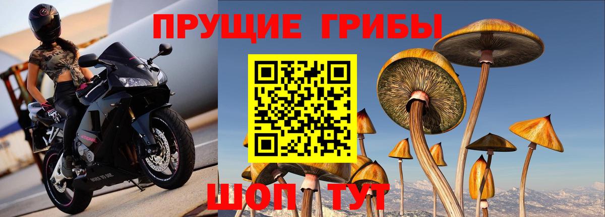 Галлюциногенные грибы мухоморы Бузулук