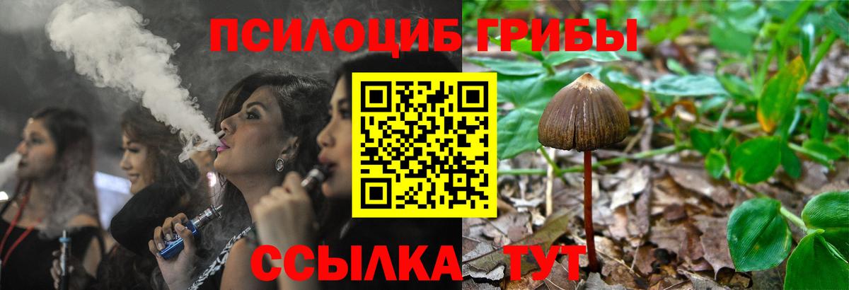 Галлюциногенные грибы Psilocybe  Бузулук 